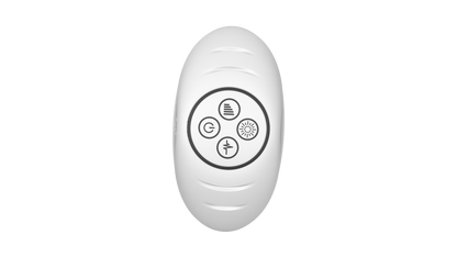 Illumination by Paradise - The Plug RGB Anal Vibrator