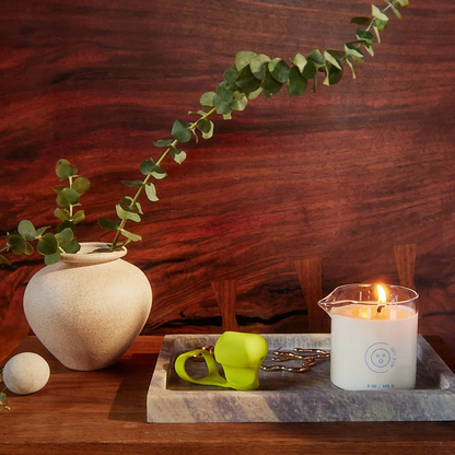 Dame Massage Oil Candle Melt Together