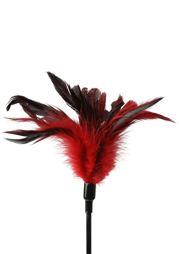 Sex & Mischief - Feather Slapper - PlayLoveToys