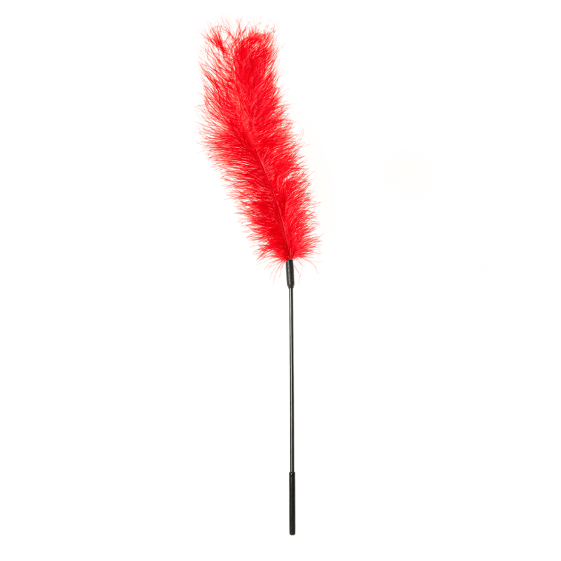 Baguette en plumes d'autruche véritables Sportsheets 